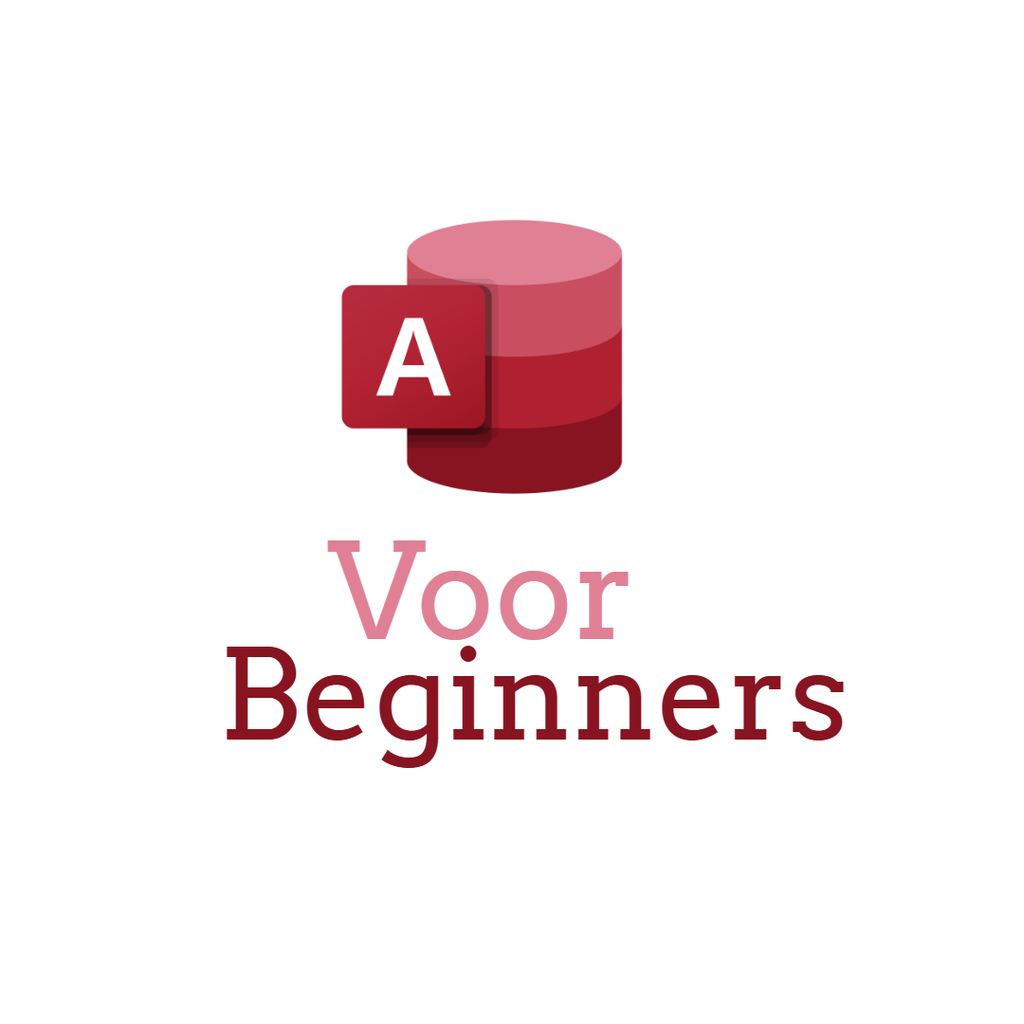 Microsoft Access voor Beginners
