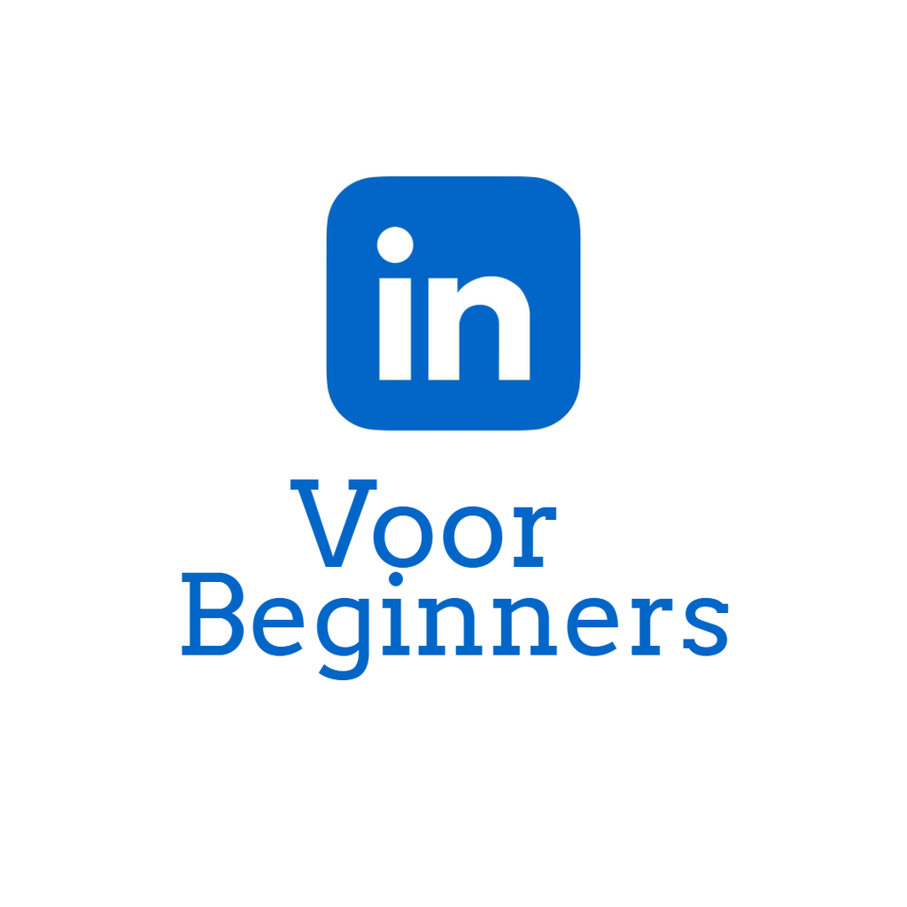 LinkedIn voor Beginners (E-Book)